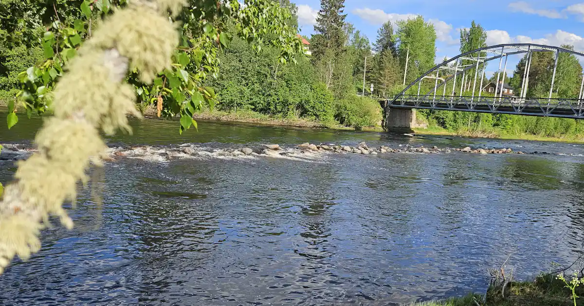 Ammeråns Fiskecamp AB