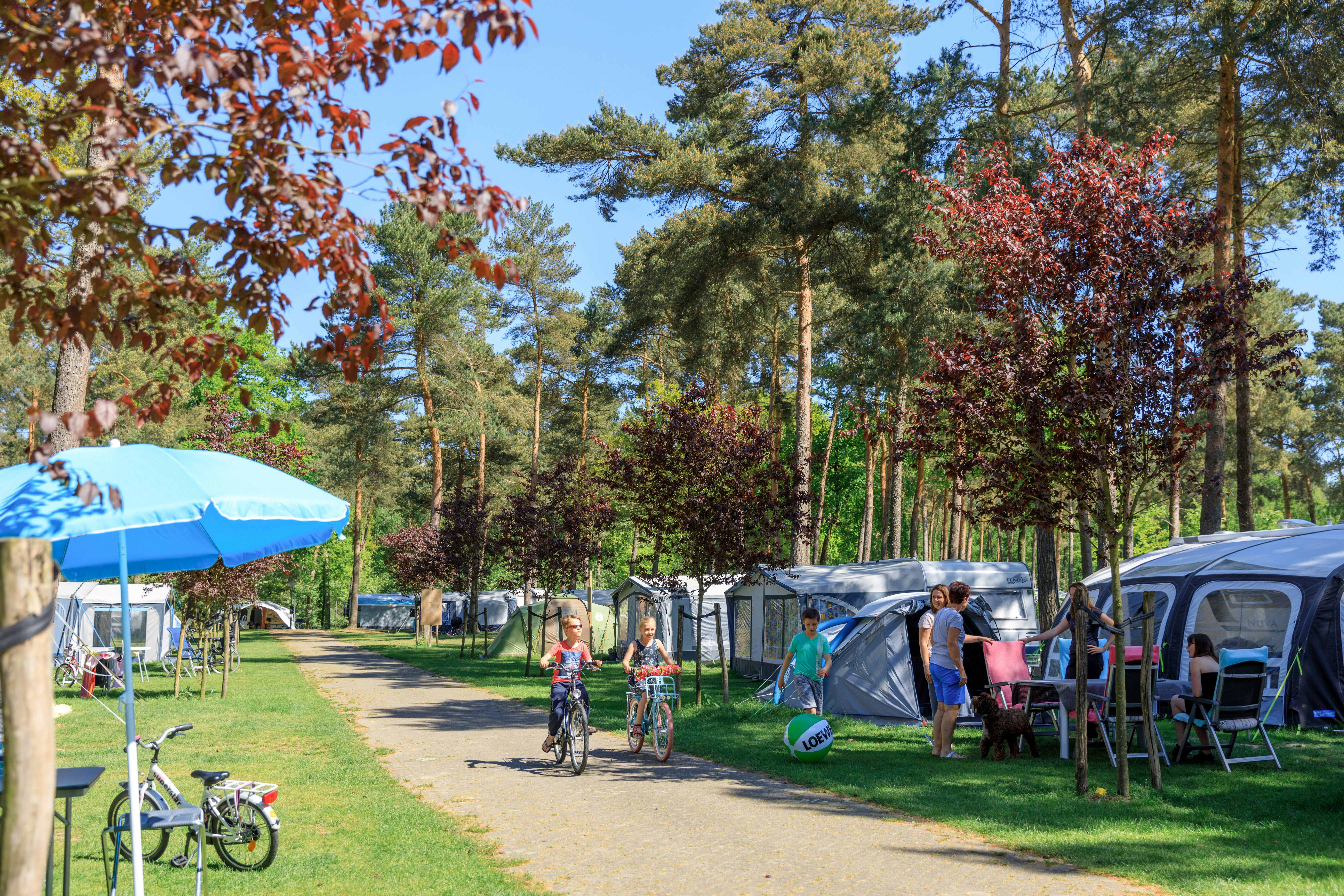 Ardoer Camping De Heldense Bossen