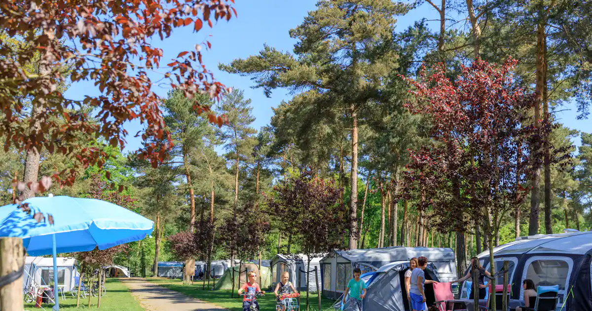 Ardoer Camping De Heldense Bossen