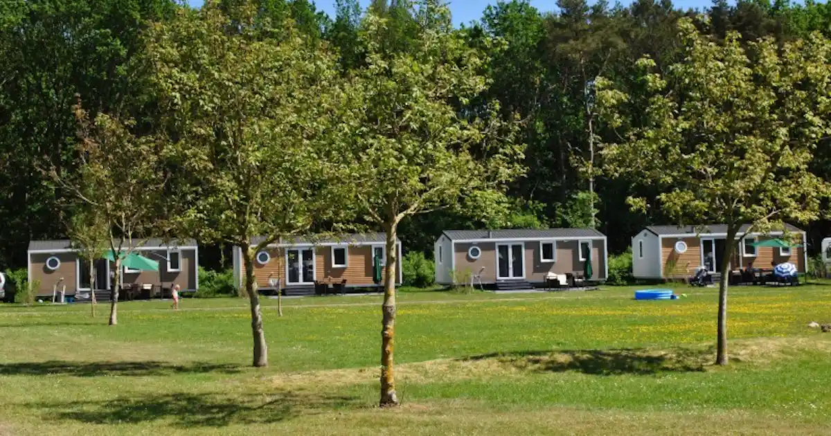 Camping De Reeënwissel