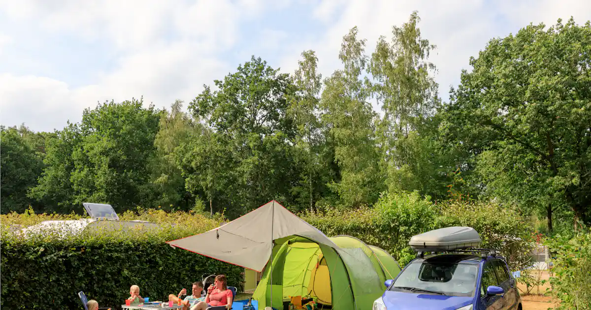 Sind Hunde auf Veluwepark de Bosgraaf erlaubt?