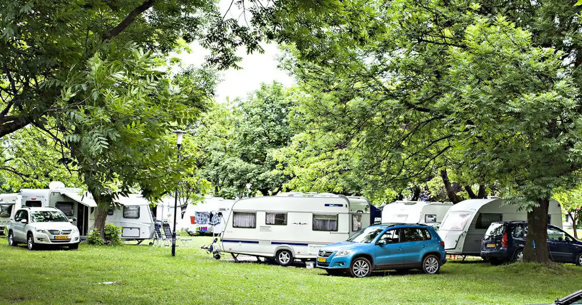 Sind Hunde auf Autocamp Oaza erlaubt?
