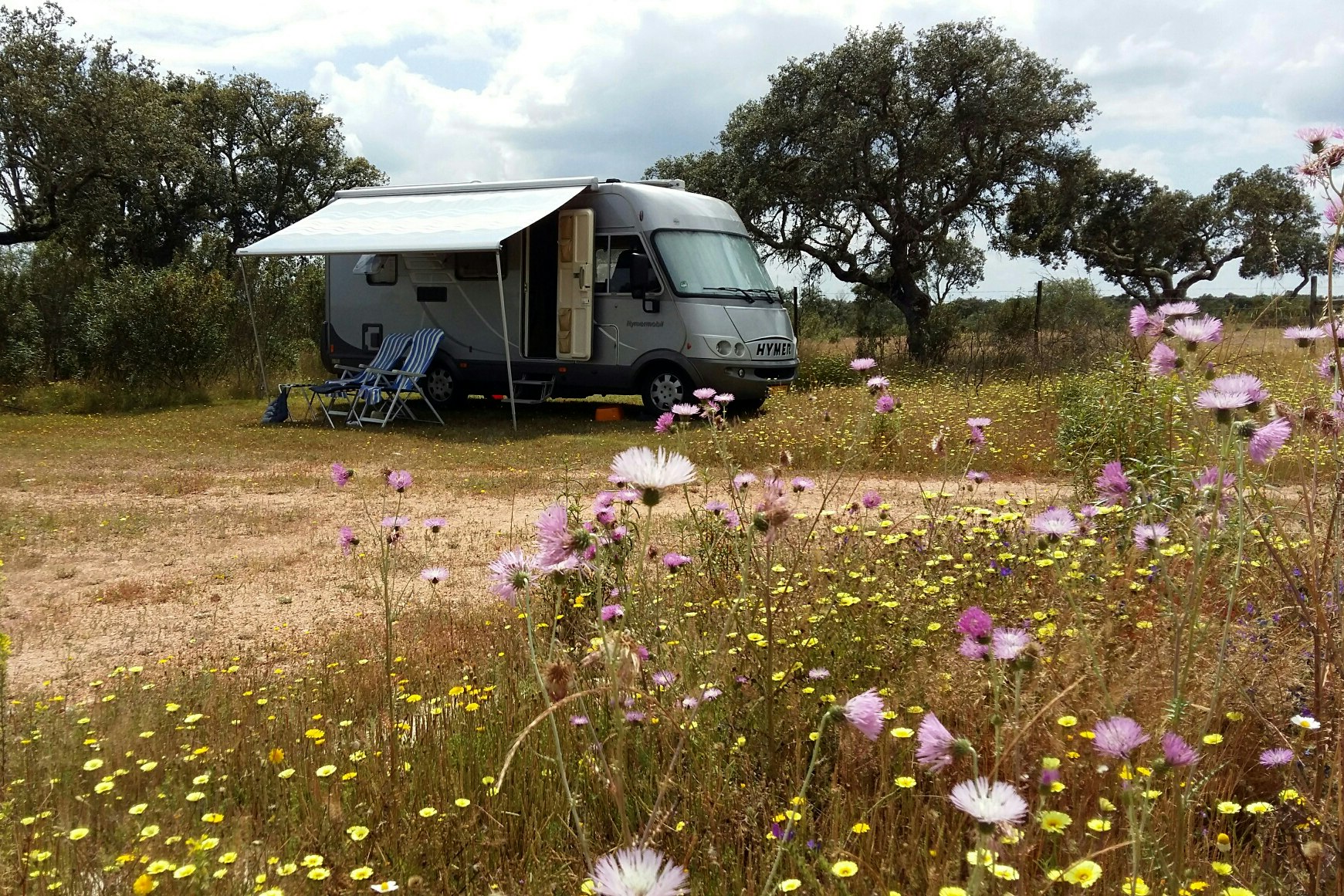 Bubulcus & Bolotas Camping