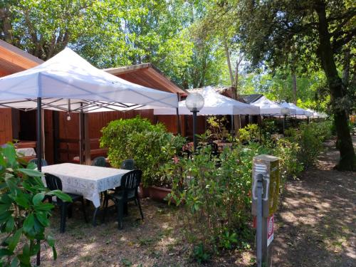 Cabana Camp