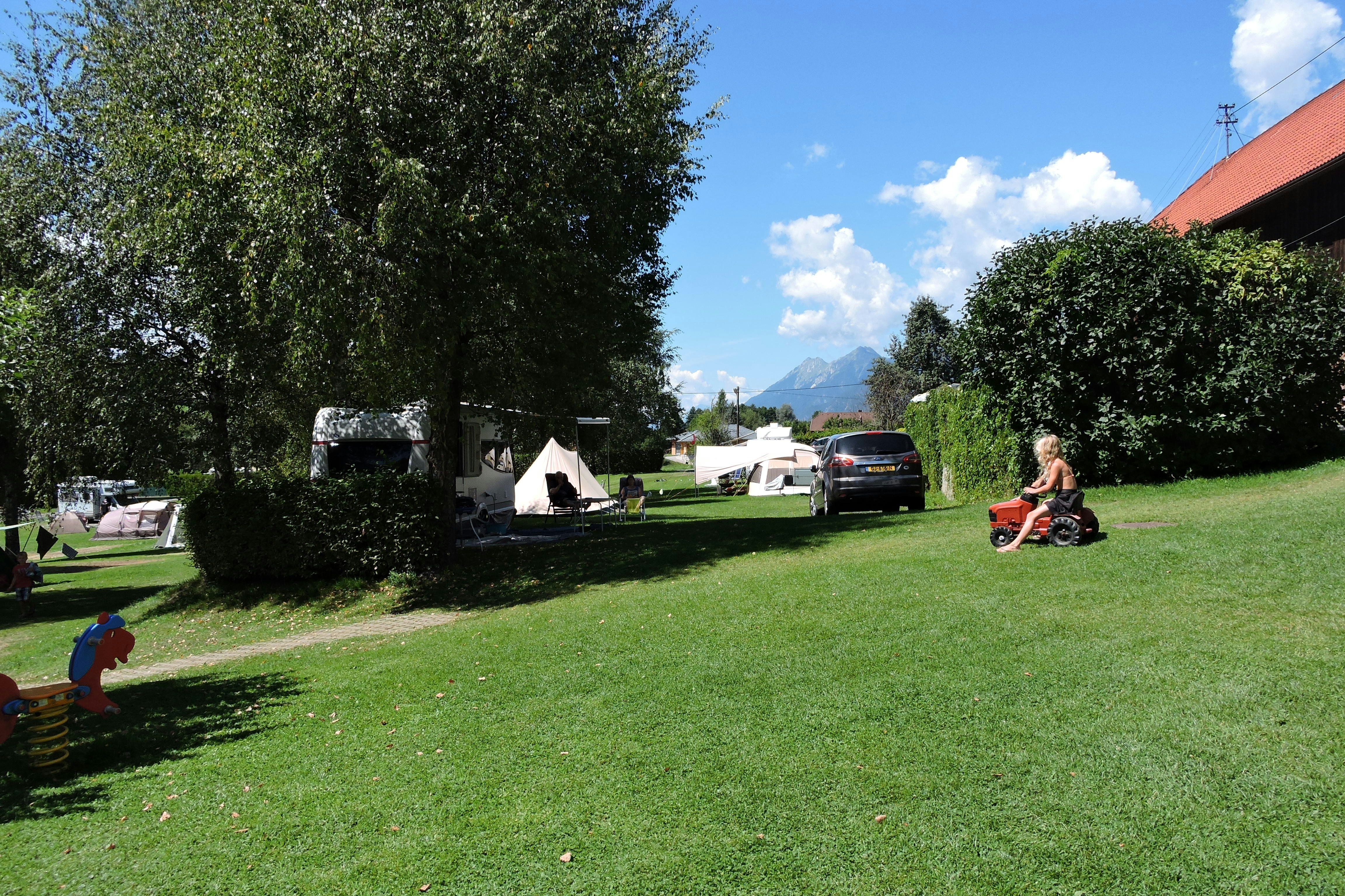 Sind Hunde auf Camping am Bauernhof erlaubt?