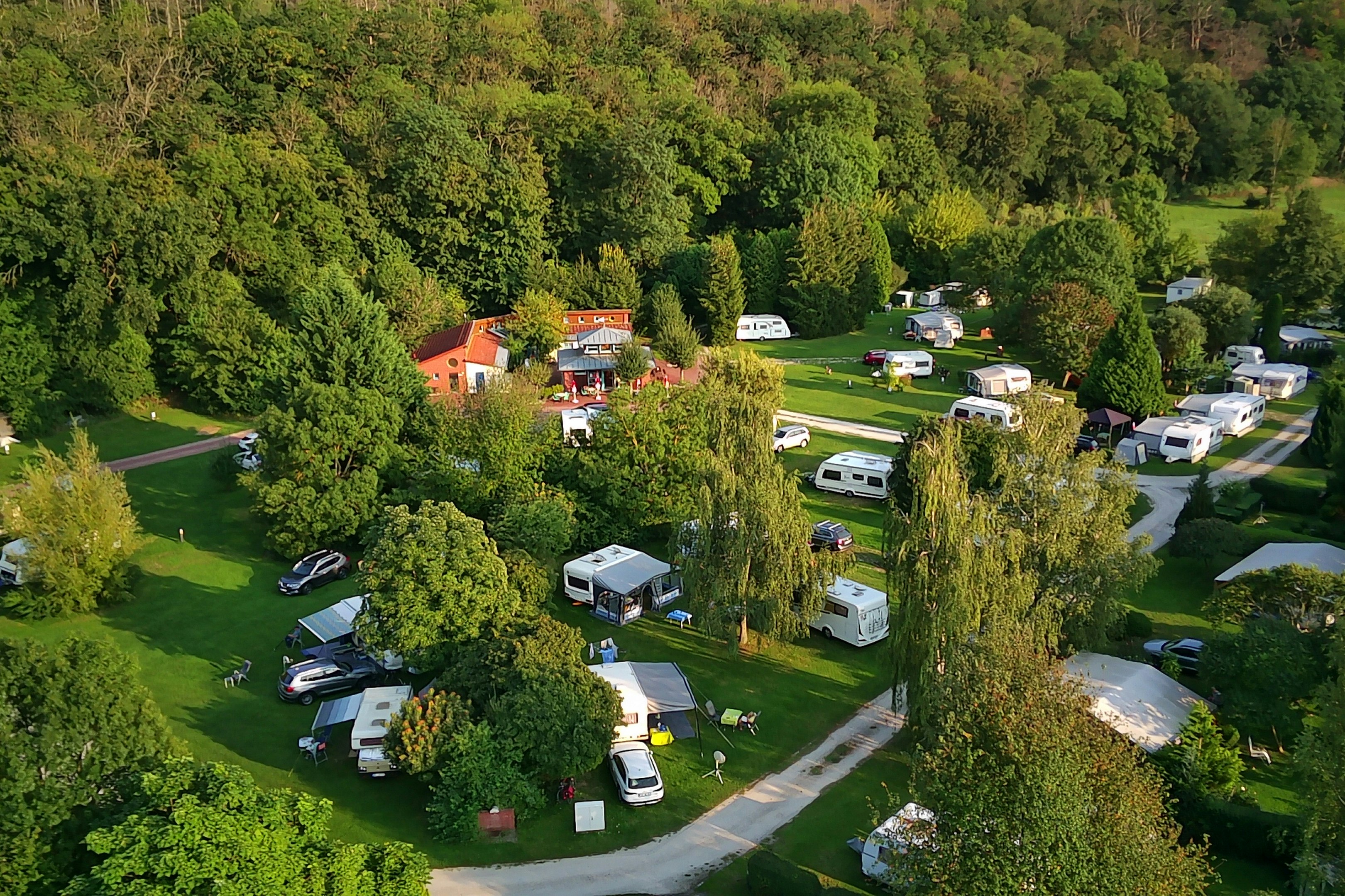 Sind Hunde auf Camping an der Rudelsburg erlaubt?
