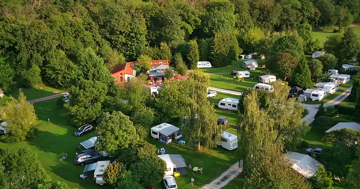 Sind Hunde auf Camping an der Rudelsburg erlaubt?