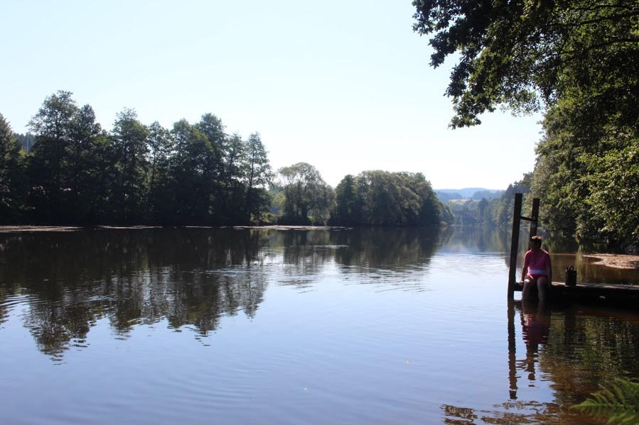 Sind Hunde auf Camping aqua hema erlaubt?