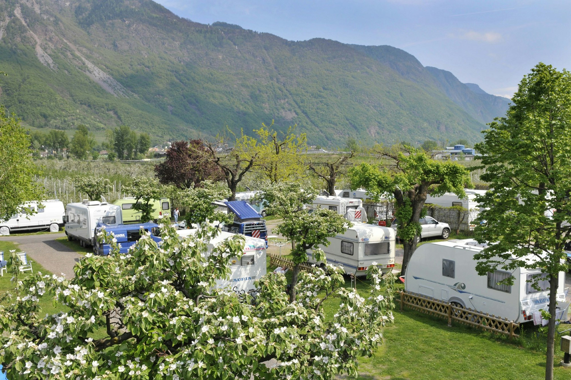 Camping mit Hund in Sdtirol  Top Campingpltze | PiNCAMP by TCS