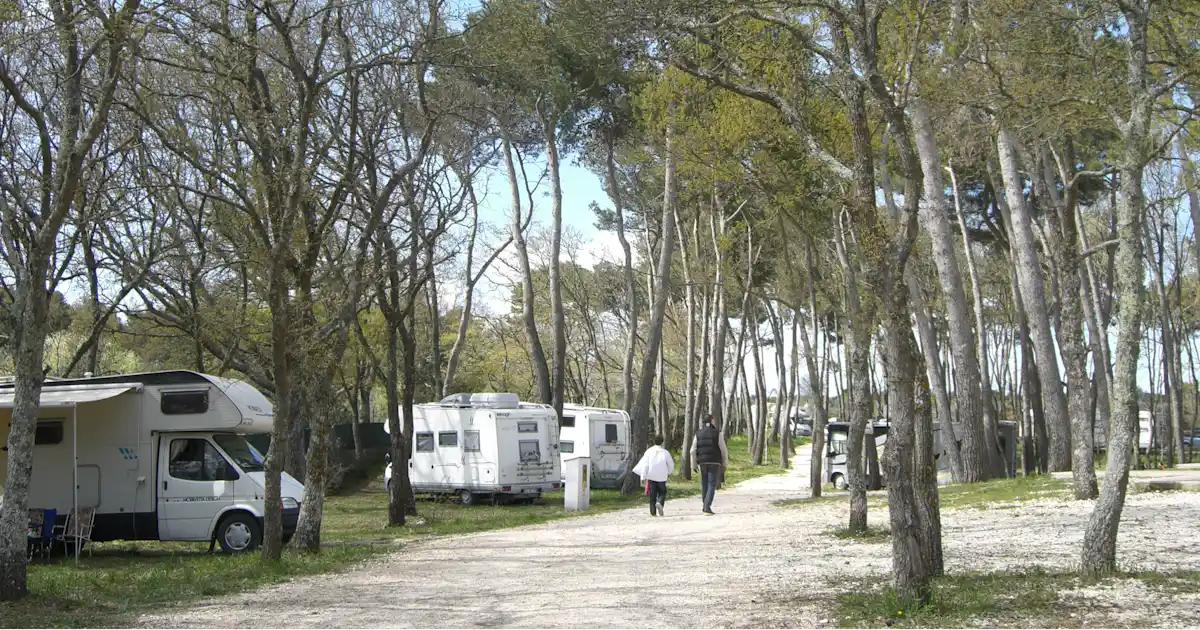 Camping Bosco Selva