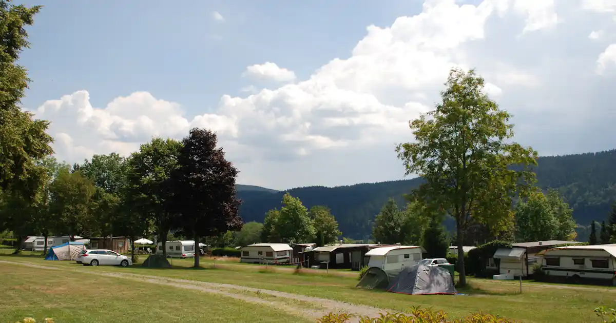 Sind Hunde auf Camping Bühlhof erlaubt?