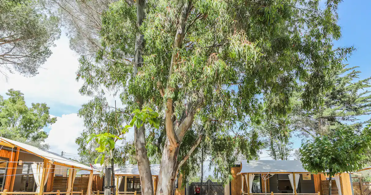 Camping Caravaning Le Ceinturon 3