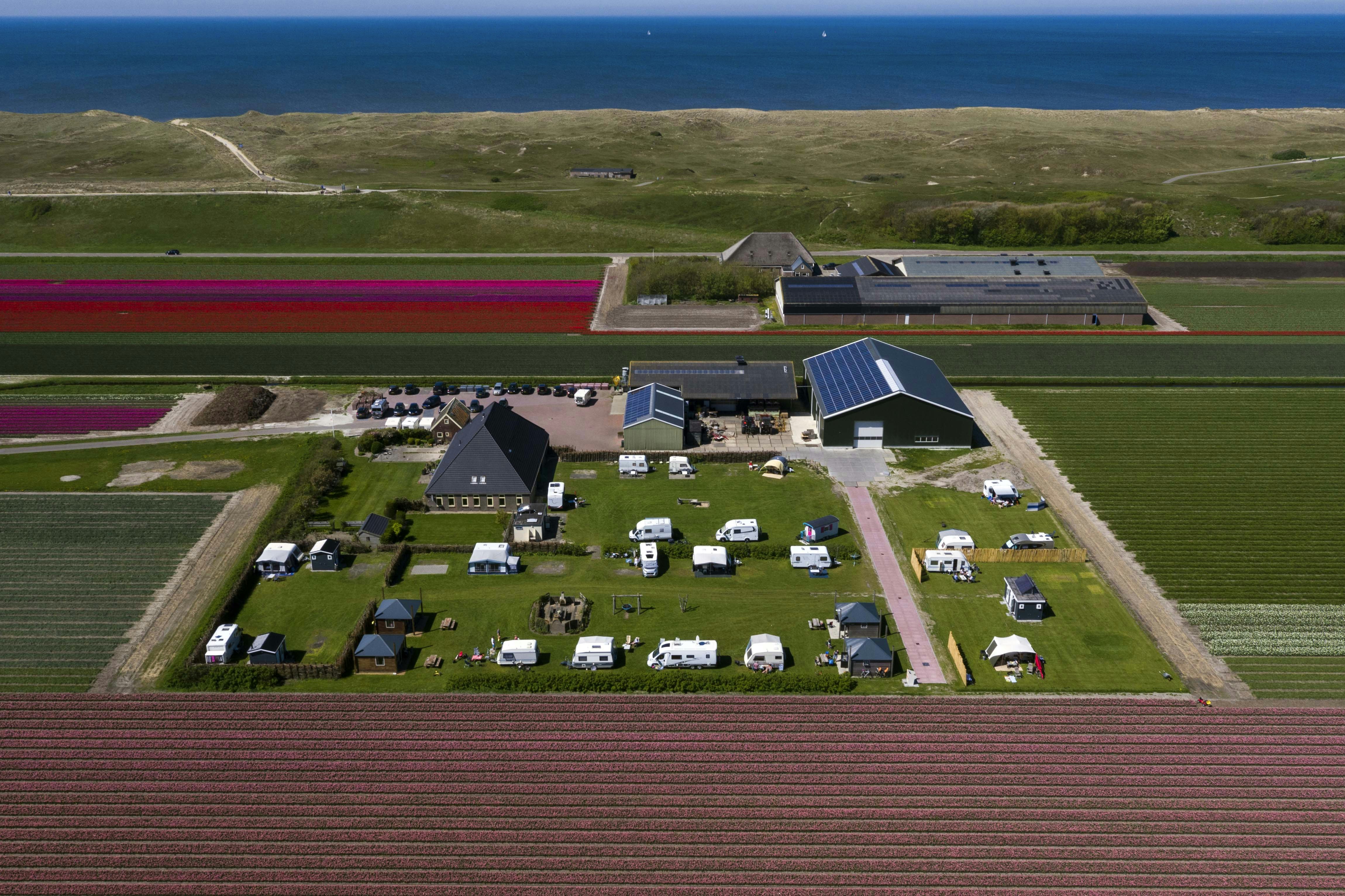 Camping Julianadorp  Top Campingpltze | PiNCAMP by TCS