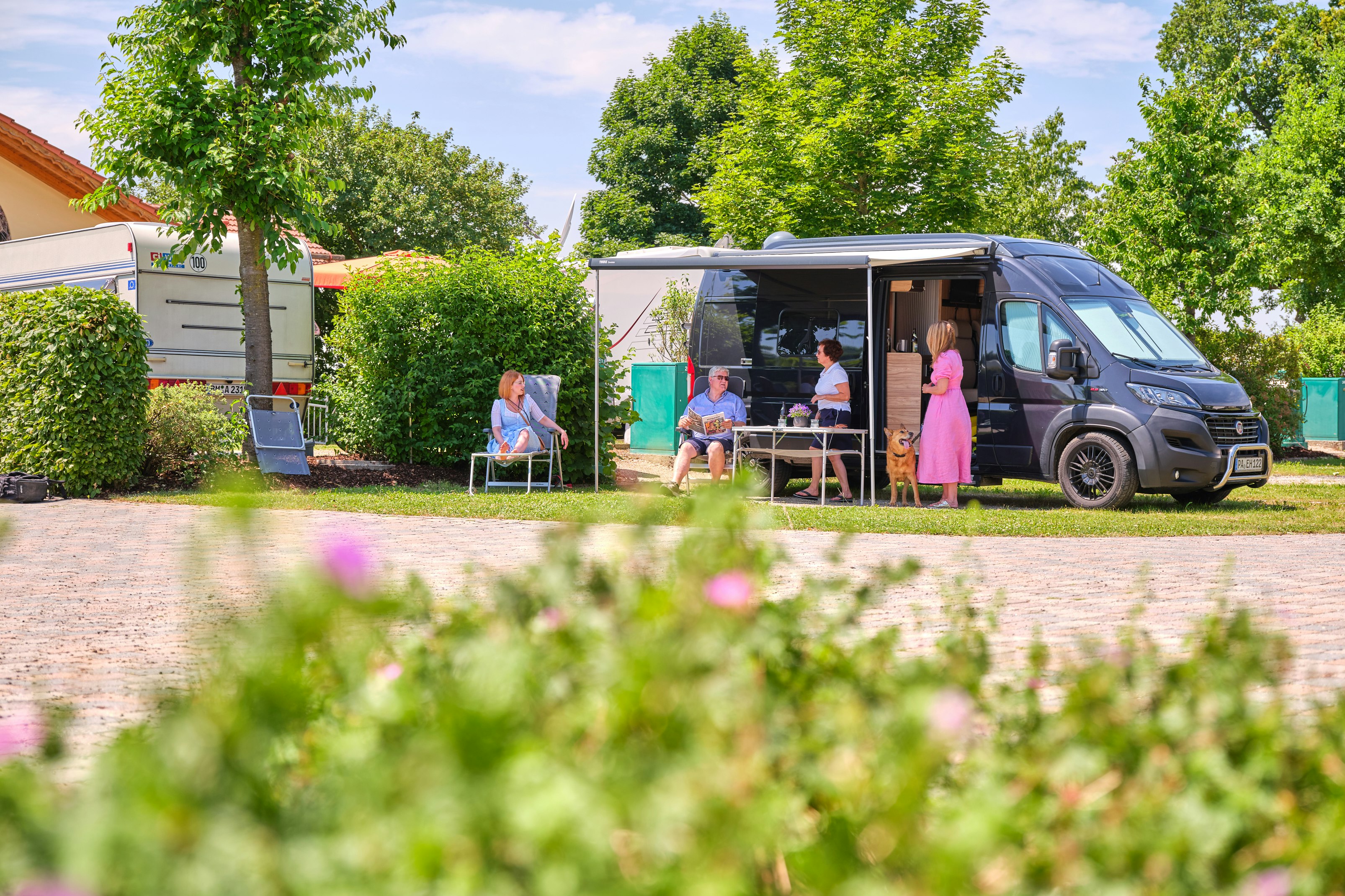Sind Hunde auf Holmernhof Camping und mehr... erlaubt?