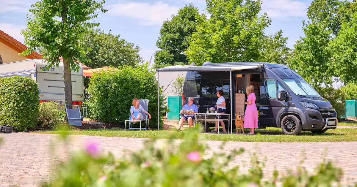 Sind Hunde auf Holmernhof Camping und mehr... erlaubt?