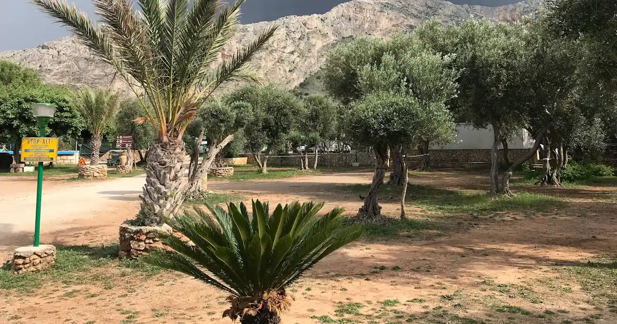 Camping Internazionale La Playa