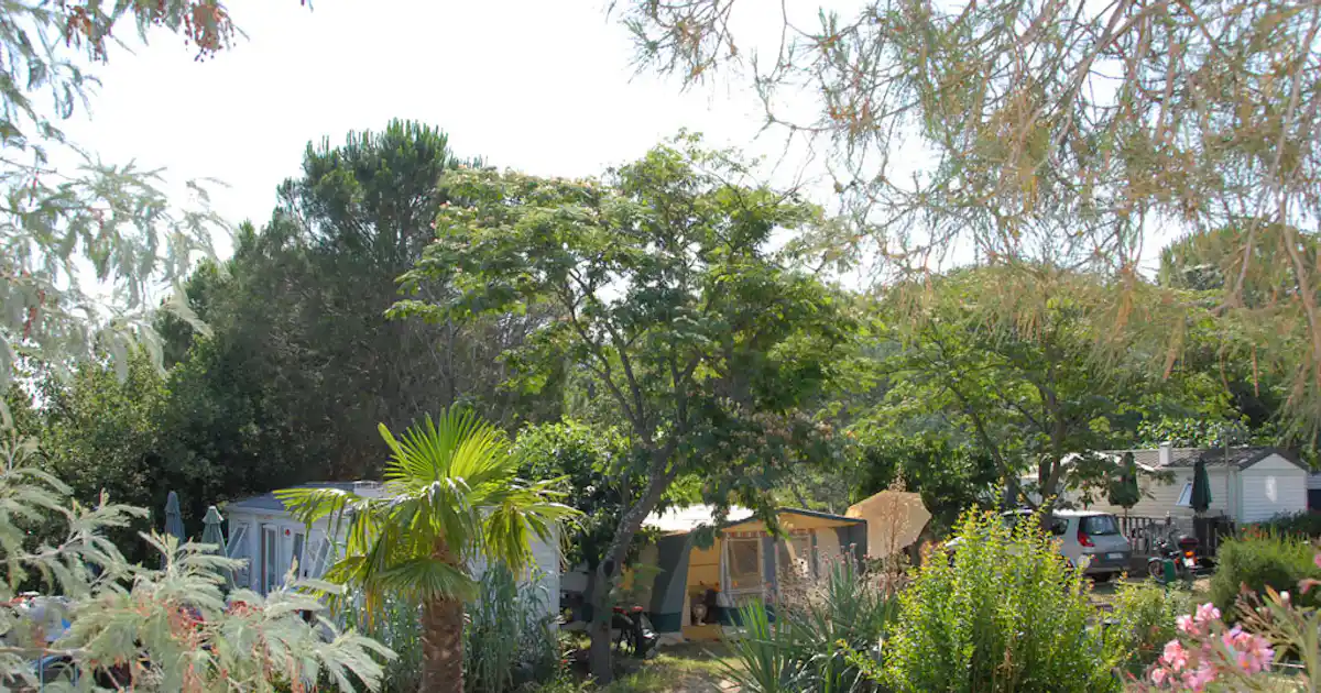 Camping Les Albères
