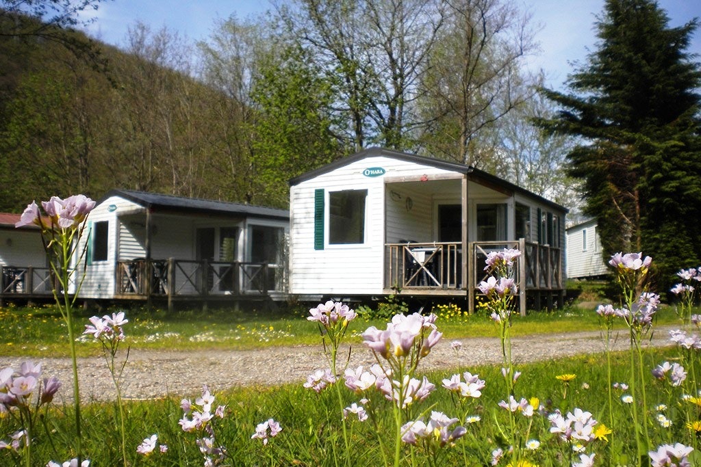 Camping mit Hund im Elsass  Top Campingpltze | PiNCAMP by TCS
