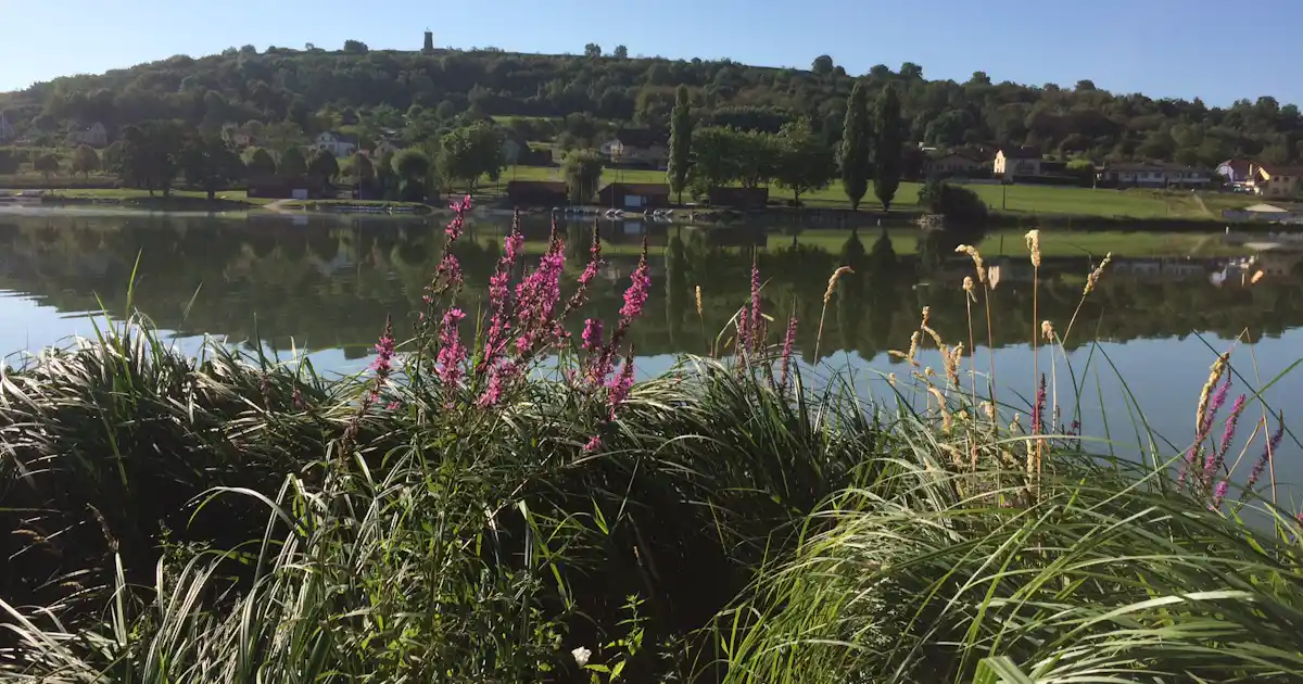 Sind Hunde auf Onlycamp Camping de l'Etang des Forges erlaubt?