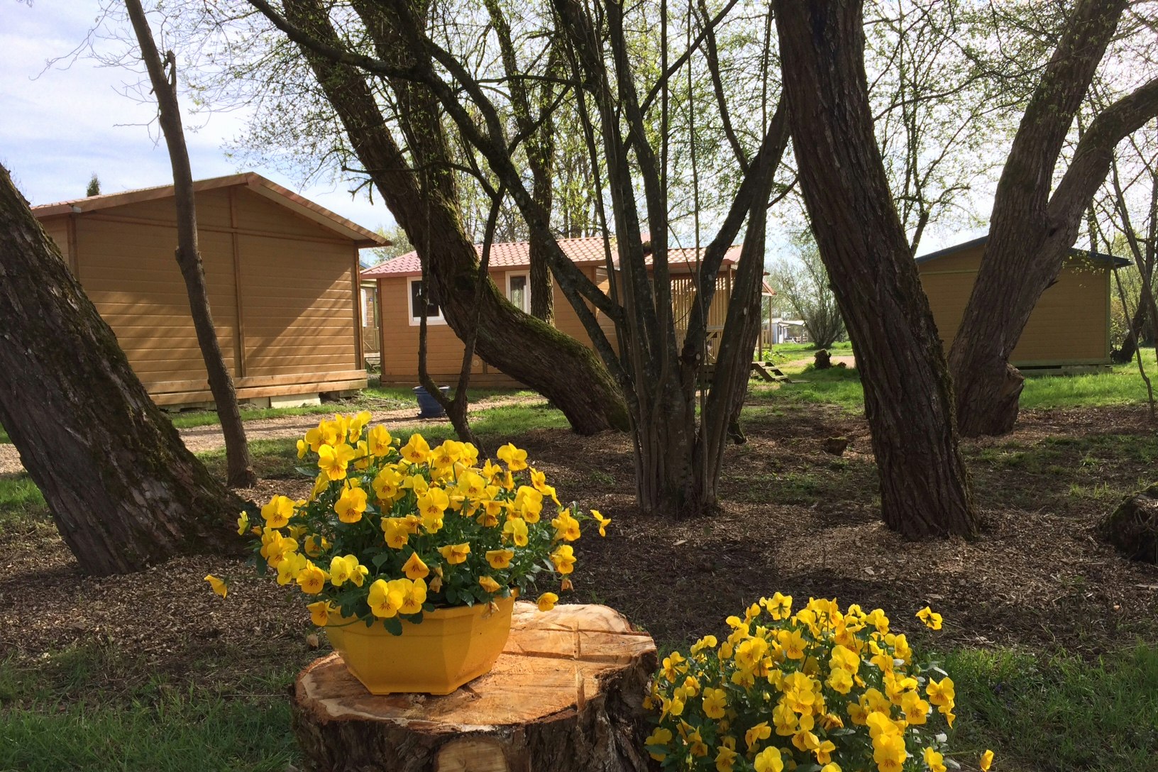 Campingplatz Onlycamp Camping de l'Etang des Forges (Belfort) | PiNCAMP by  TCS