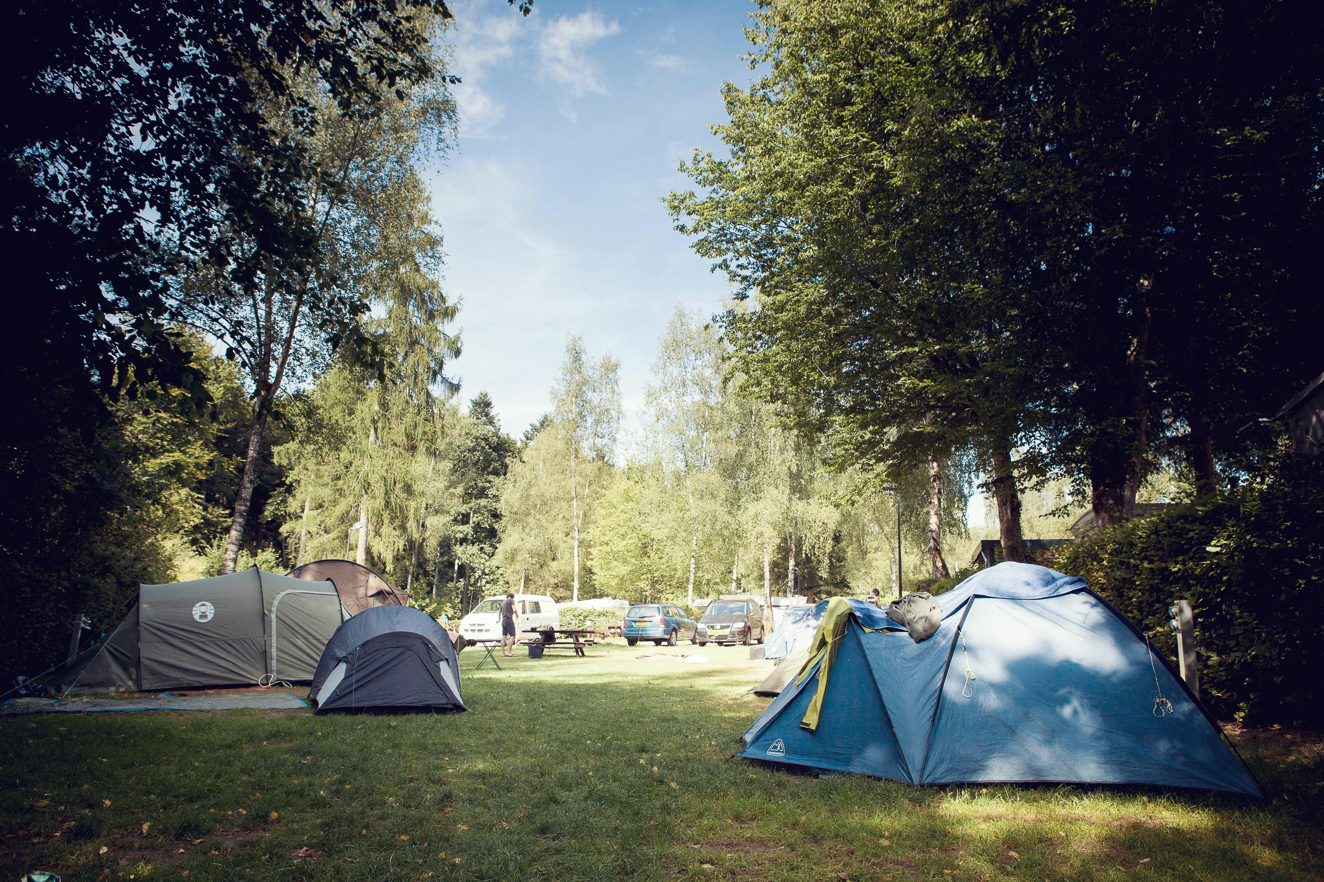 camping kochfeld HOMELUX 3-flammiger 5,4 kW Gaskocher Camping Gaskocher mit Regalen mit