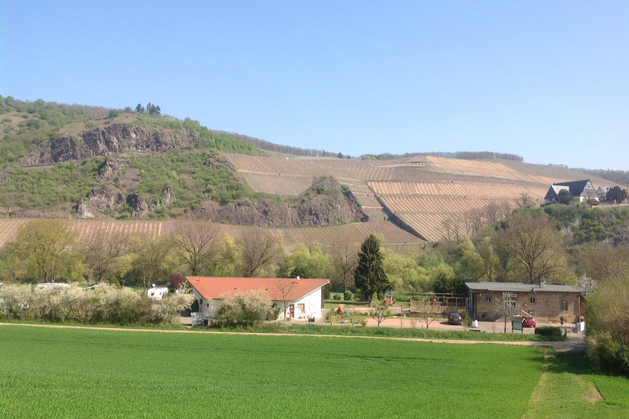 Camping Pfalz  Campingpltze | PiNCAMP by TCS