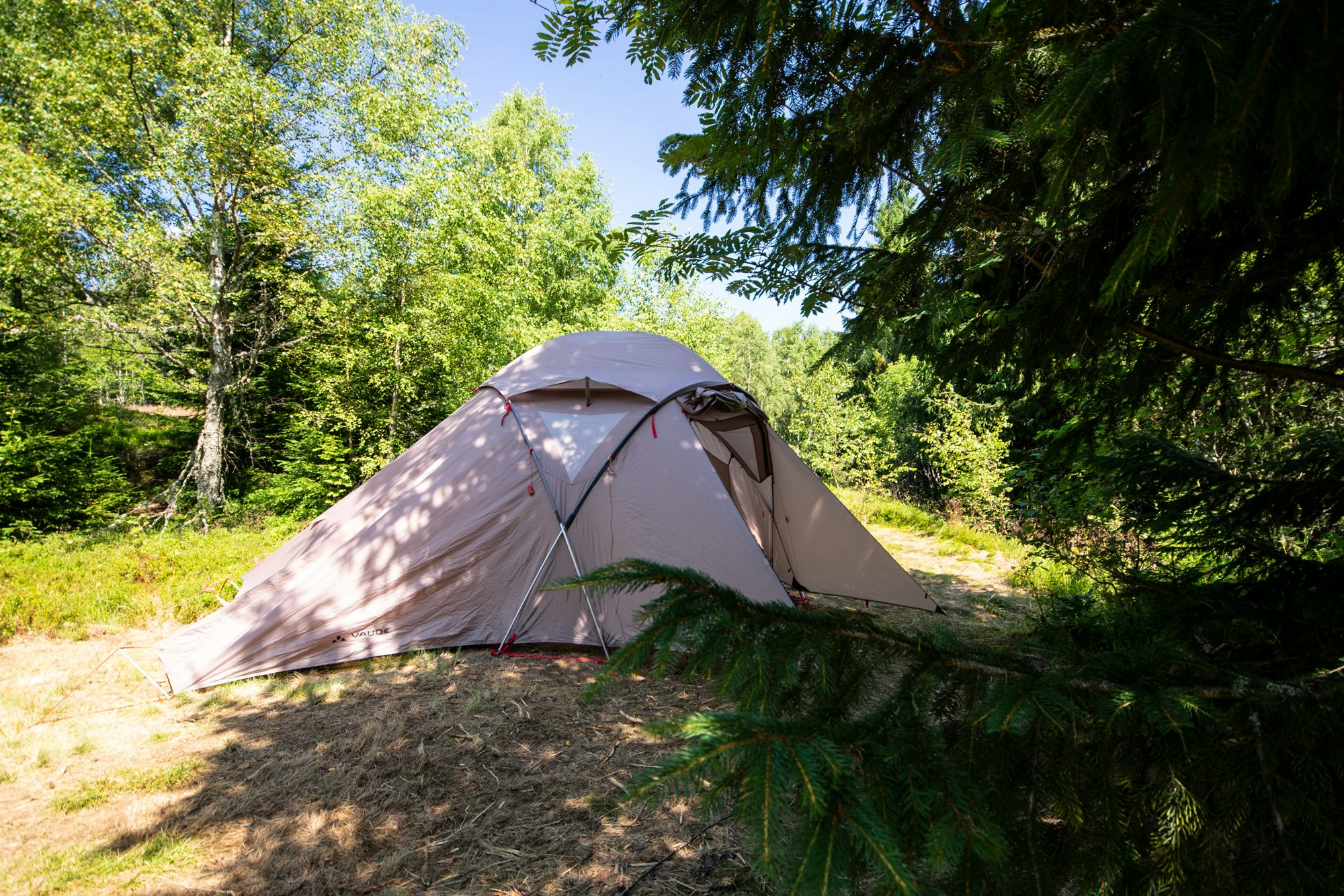 zelt automatischer aufbau Campingzelt für 3-4 Personen Quick-Up-Zelt Automatikzelt Festivalzelt – 40w solar panel Quick Tour of the Knob Color:Lizard Green Alcantara / Machined Finish