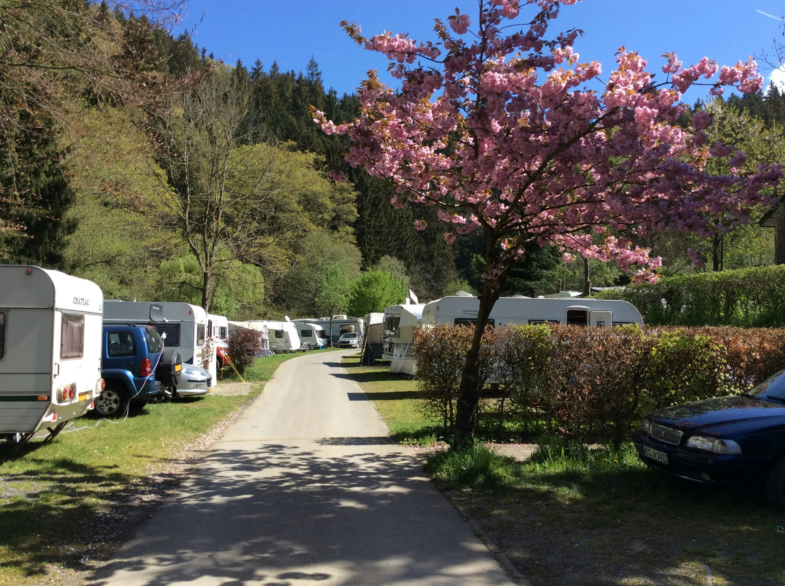 Camping Nationalpark Eifel  Campingpltze | PiNCAMP by TCS