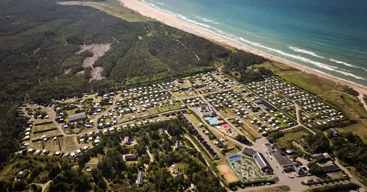 Sind Hunde auf dem Campingplatz Skiveren Camping erlaubt?
