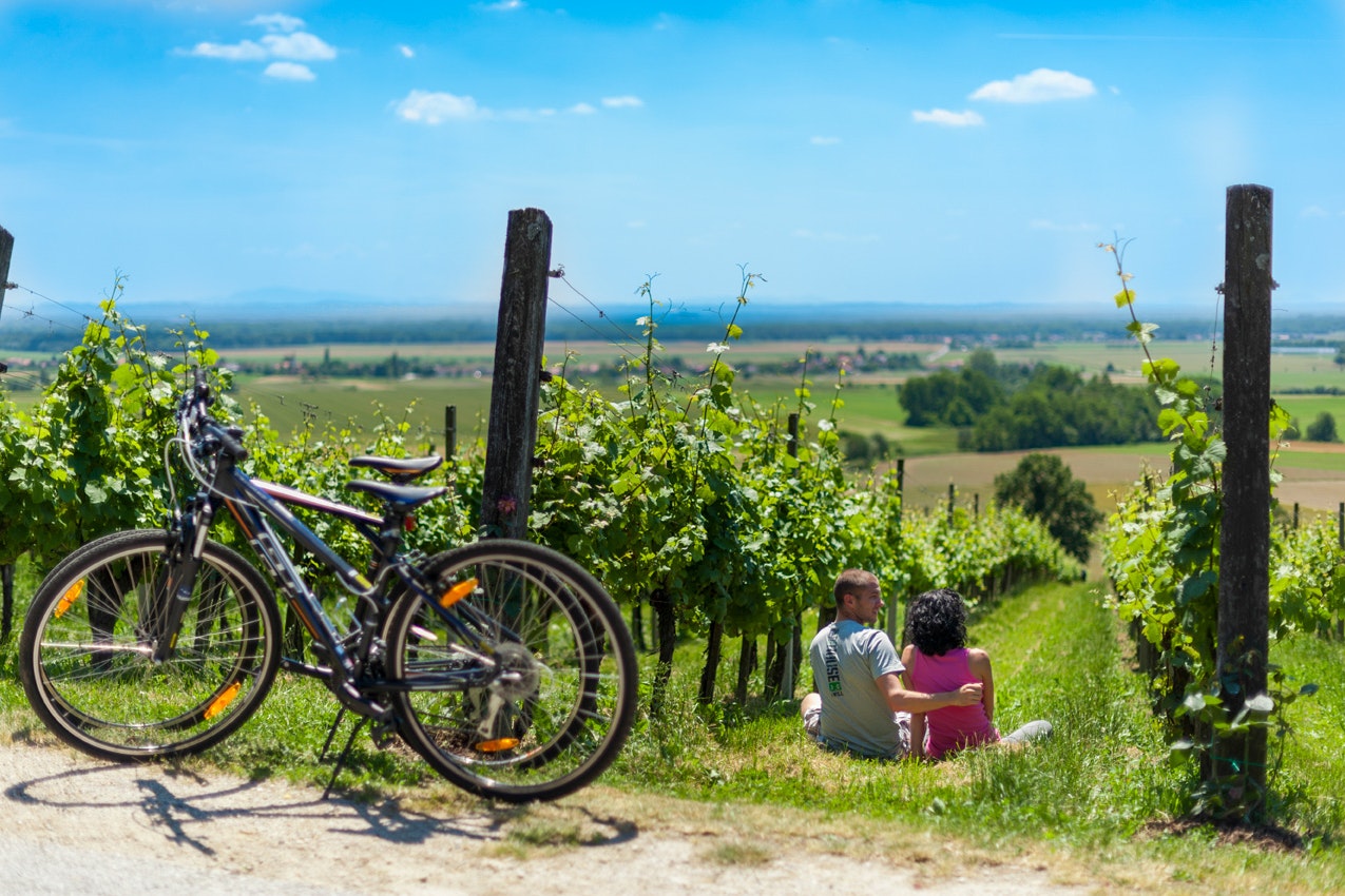 Camping Terme 3000 - Main photo