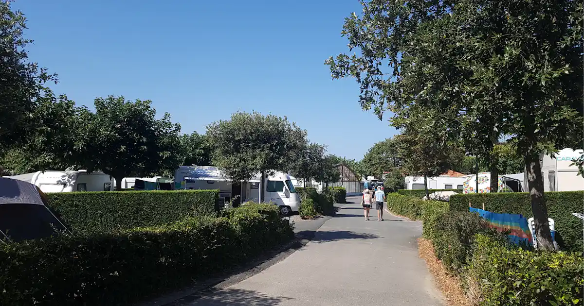Sind Hunde auf Camping Ur-Onea erlaubt?