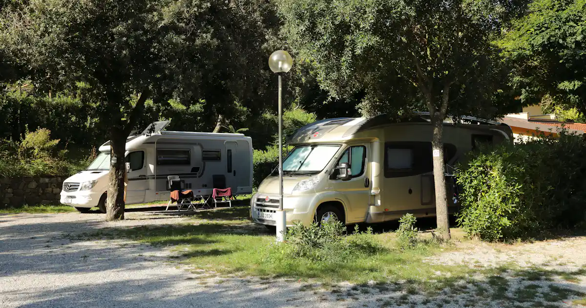 Sind Hunde auf Camping Valdeiva erlaubt?
