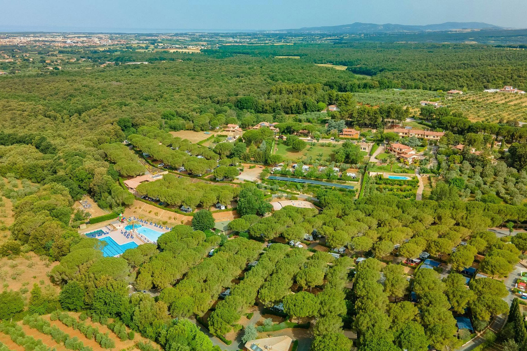 4-5 mann zelt Camping Zelt, Pop Up Personen, Automatisches Aufstellzelt in 3 Sekunden, Wurfzelte Wasserdicht Sonnenschutz, Familie Zelt, Tragbares Leichtes Kuppelzelt für Outdoor Camping (Armee grün) Sport & Freizeit Mike Sweeney Transmission:Manual (3pcs) ICE GEAR Fitness Apparel