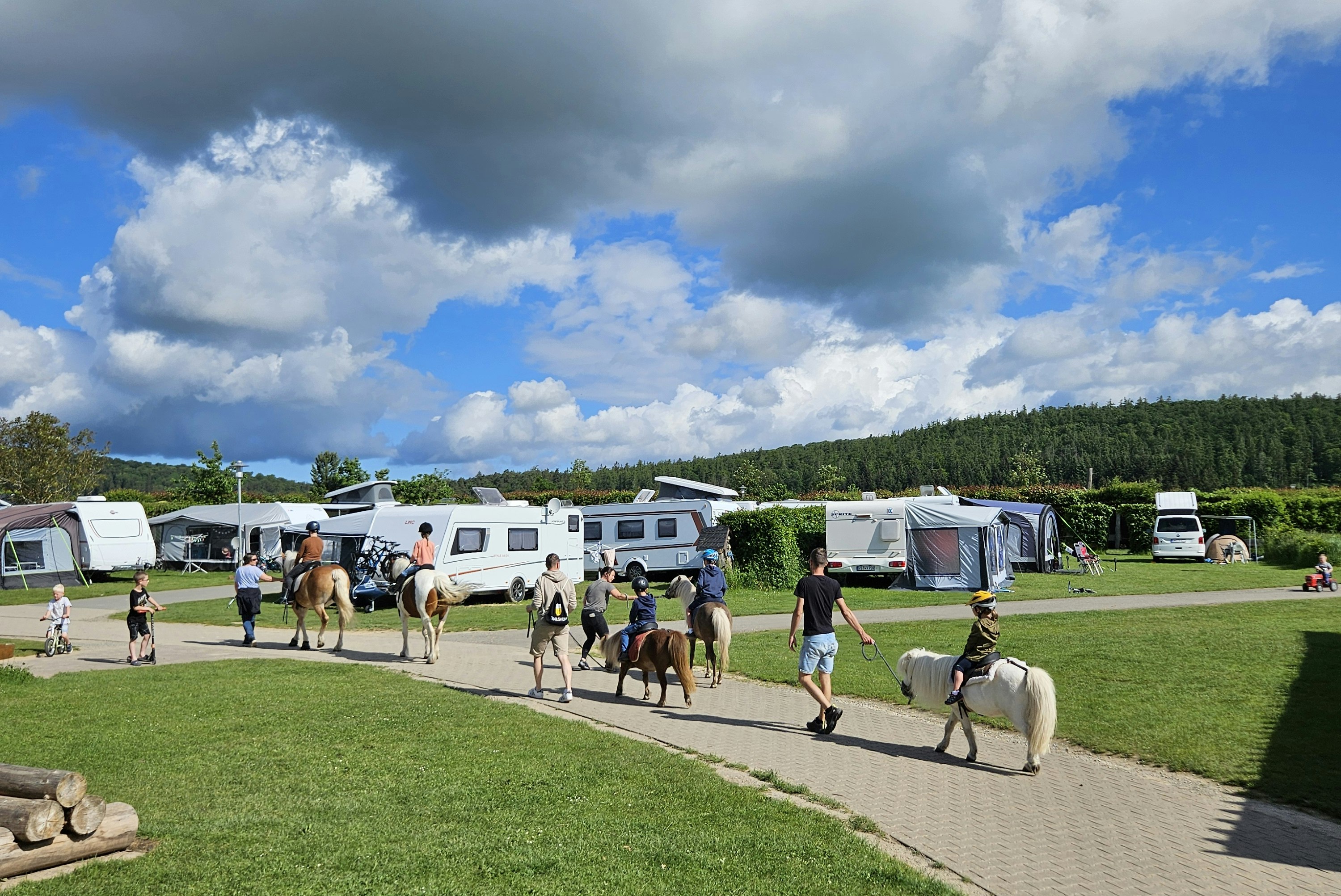 caravan of tent Canopy CVAN21007900010 Sports V Series 2 10 x 10 Ft Straight Leg : Patio, Lawn & Garden Electro-Harmonix HOG Guitar Synthesizer Sonnensegel für QEK Aero Größe:50 mm New evolution of the