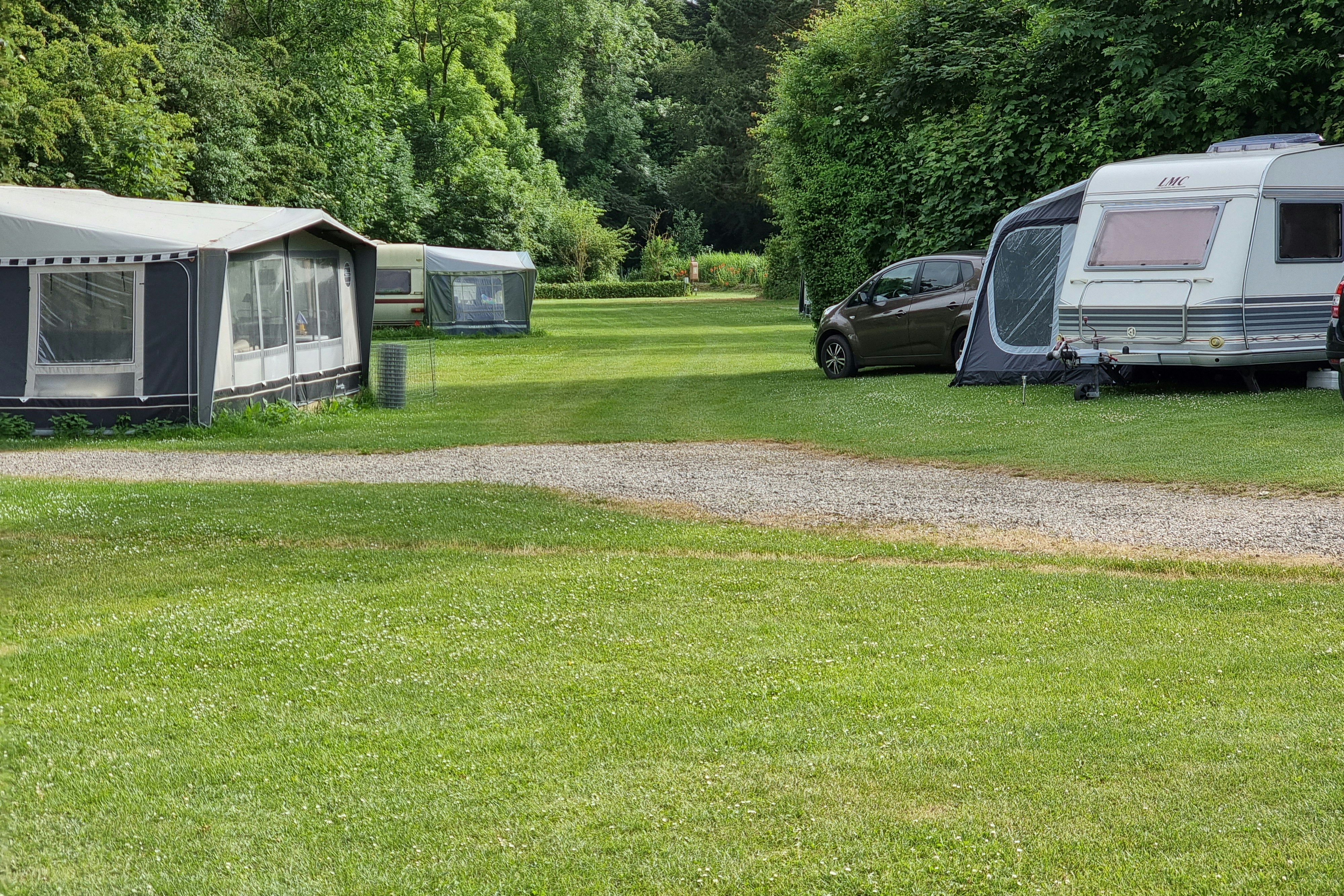 Sind Hunde auf Boeslunde Camping erlaubt?