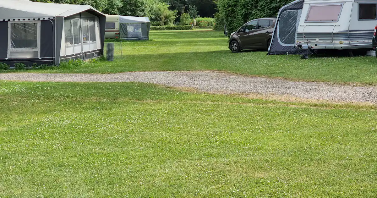 Sind Hunde auf Boeslunde Camping erlaubt?