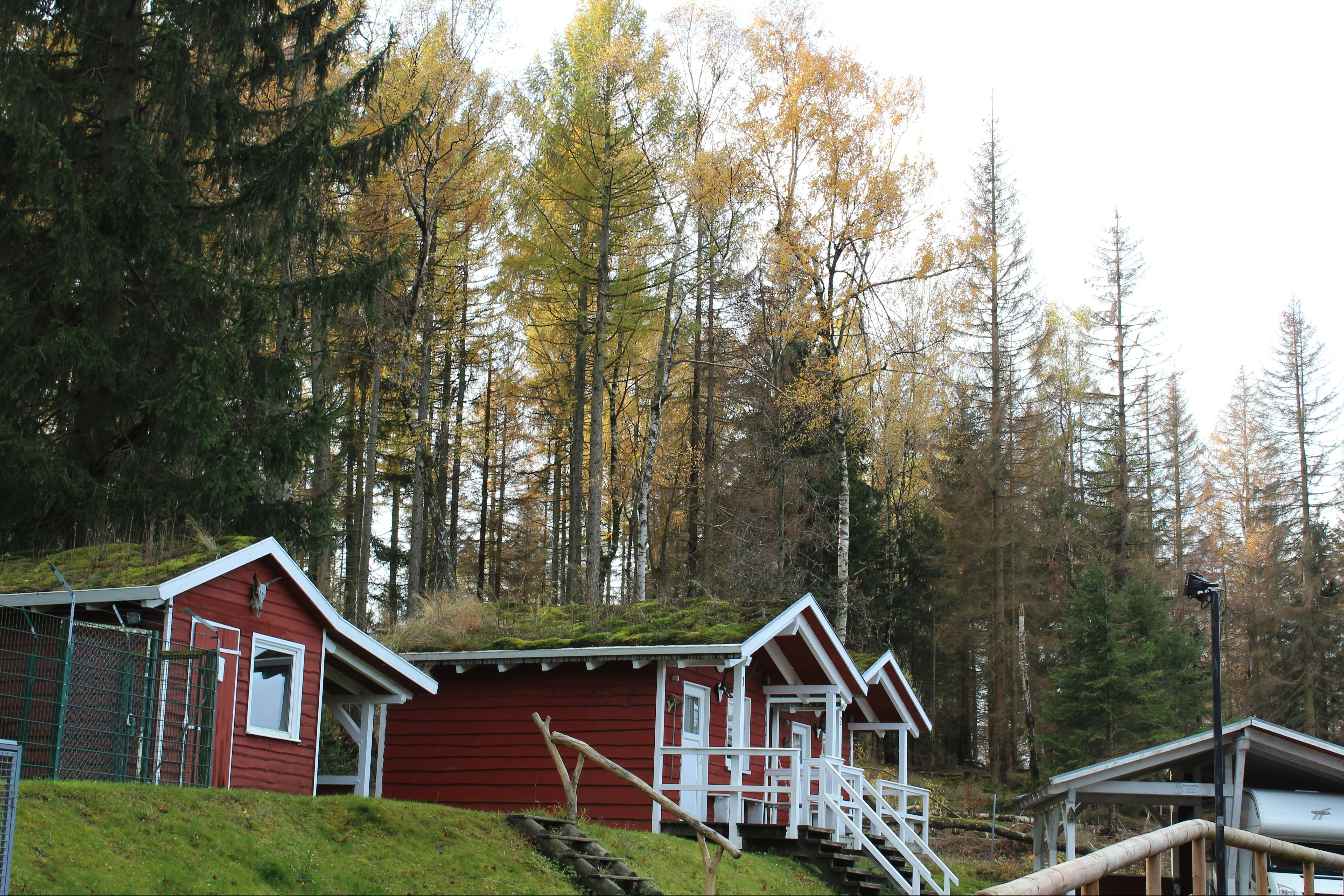 Camping Harz  Campingpltze | PiNCAMP by TCS