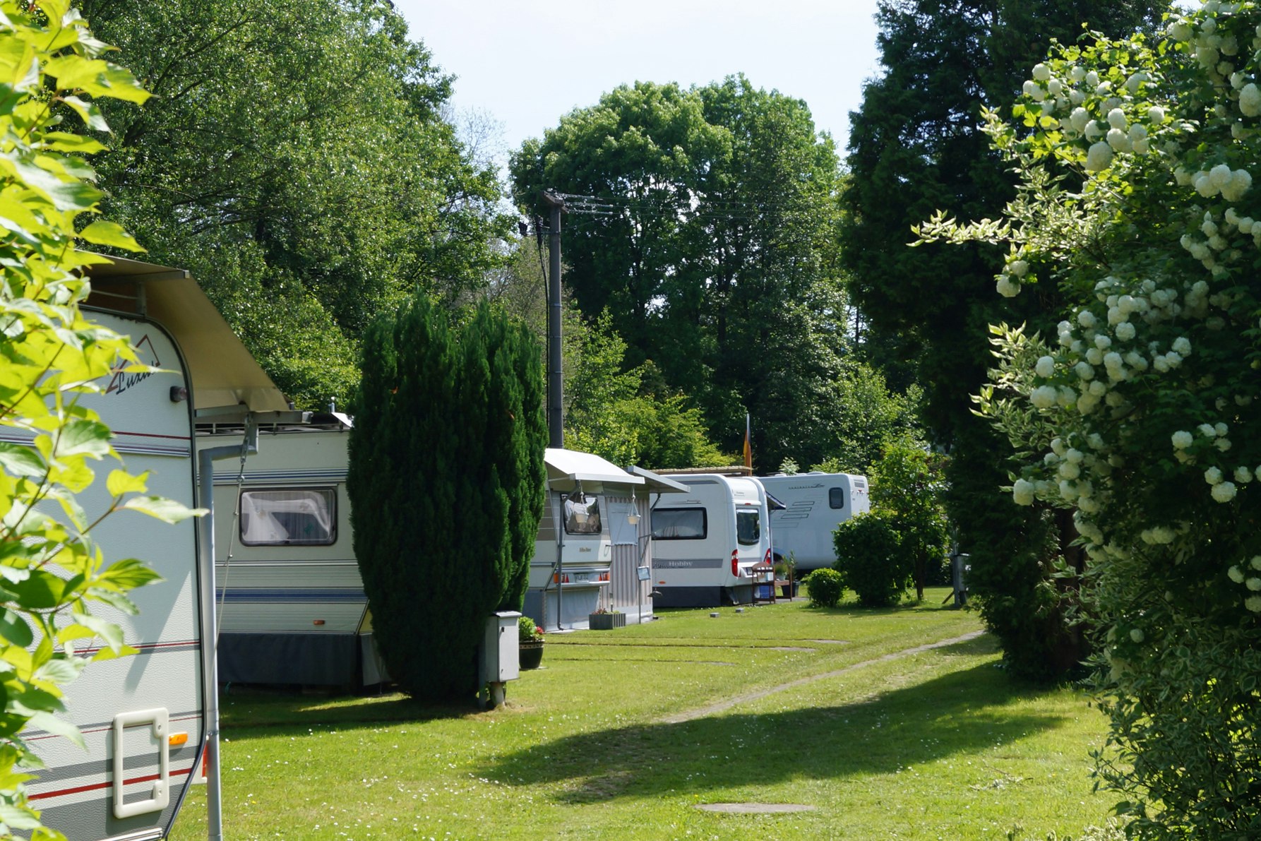 3 personen pop up zelt Lyve Pop-Up XL