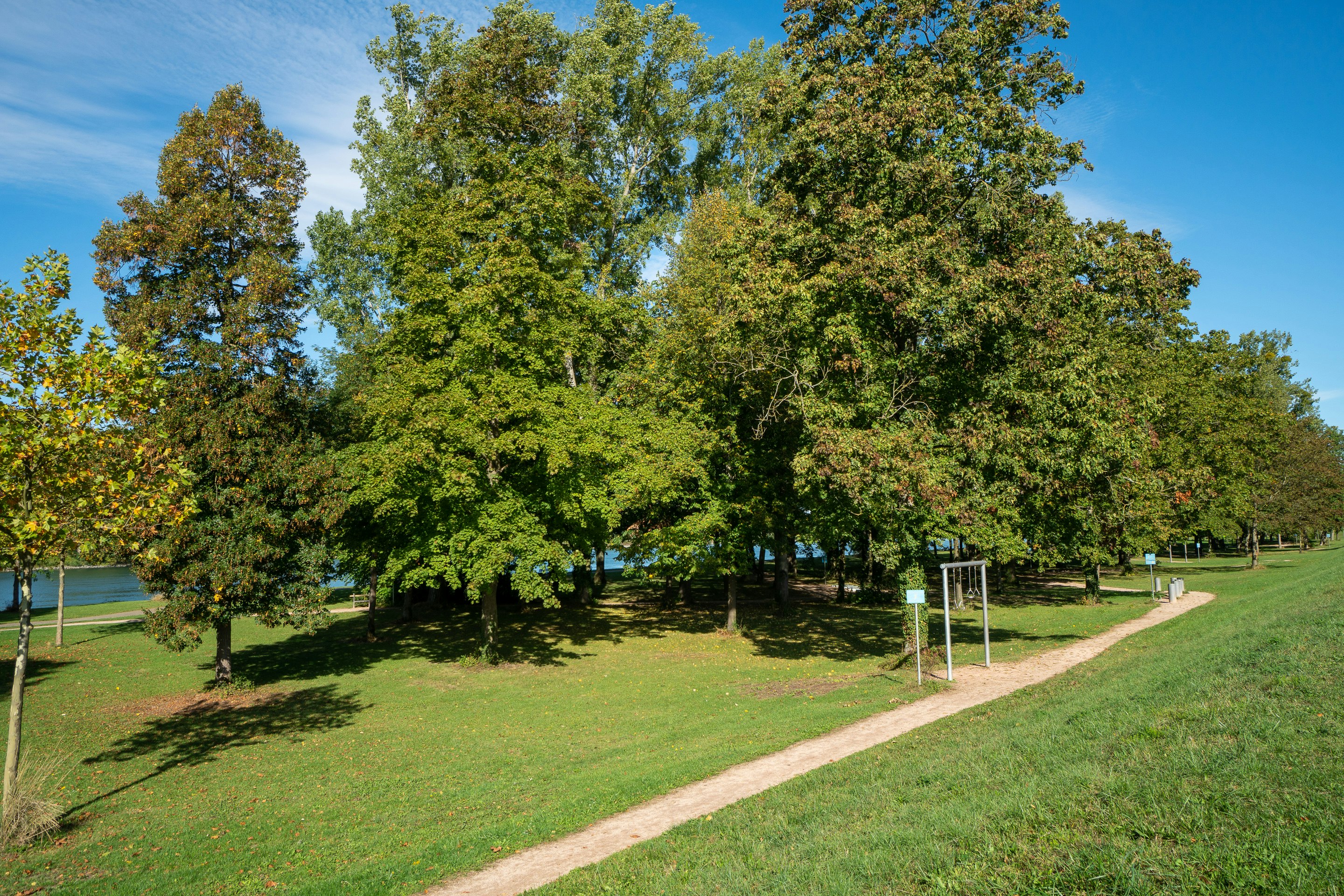 camping geschier Camping Geschirr-Set DUNE 12-teilig