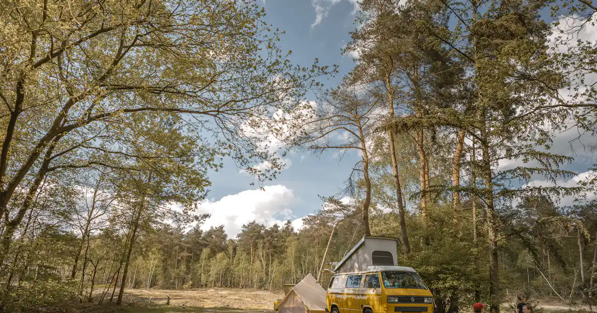 De Lemeler Esch Natuurcamping