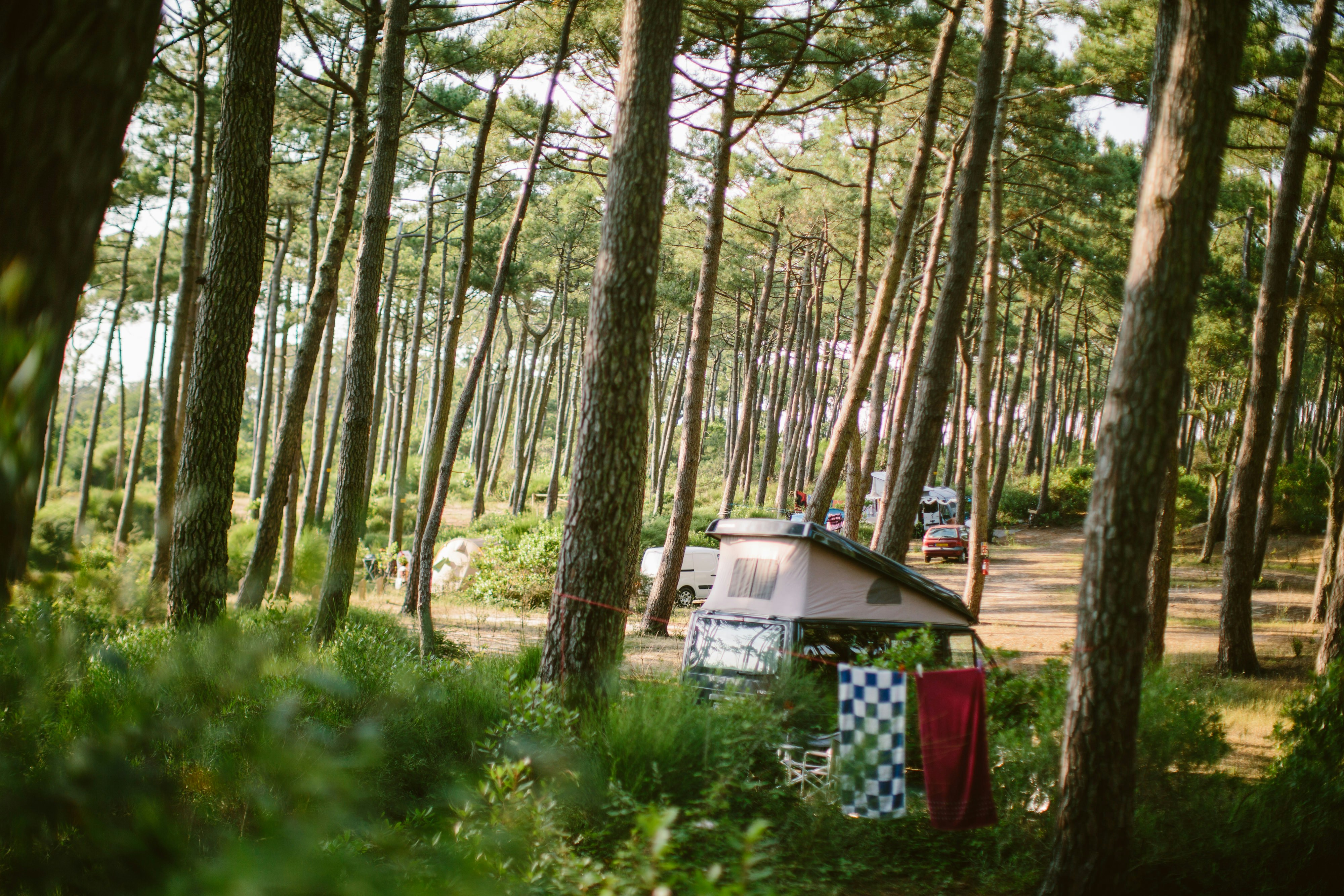domaine-naturiste-arnaoutchot-pincamp-by-tcs