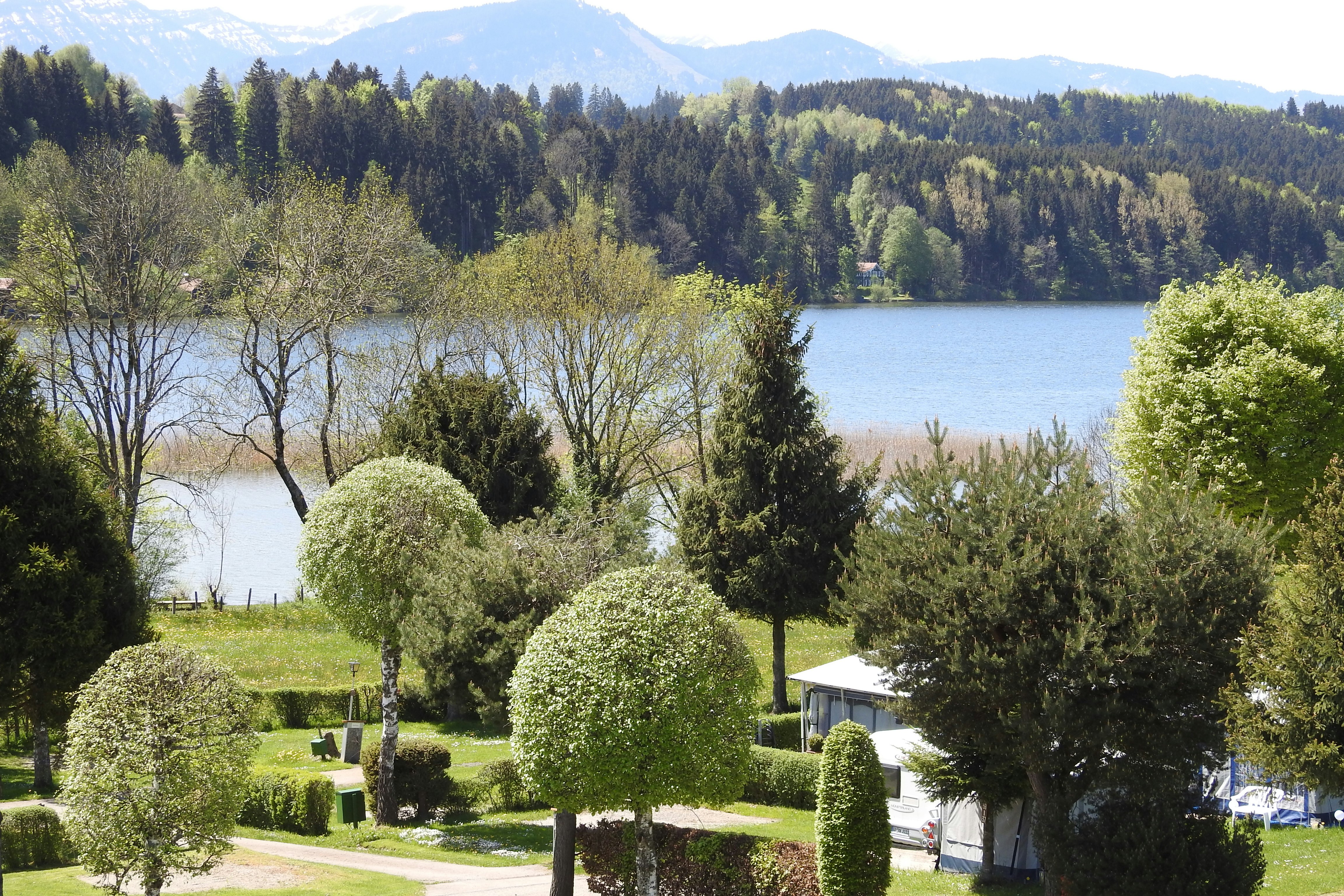 Camping mit Hund am See im Allgu  Top Campingpltze | PiNCAMP by TCS