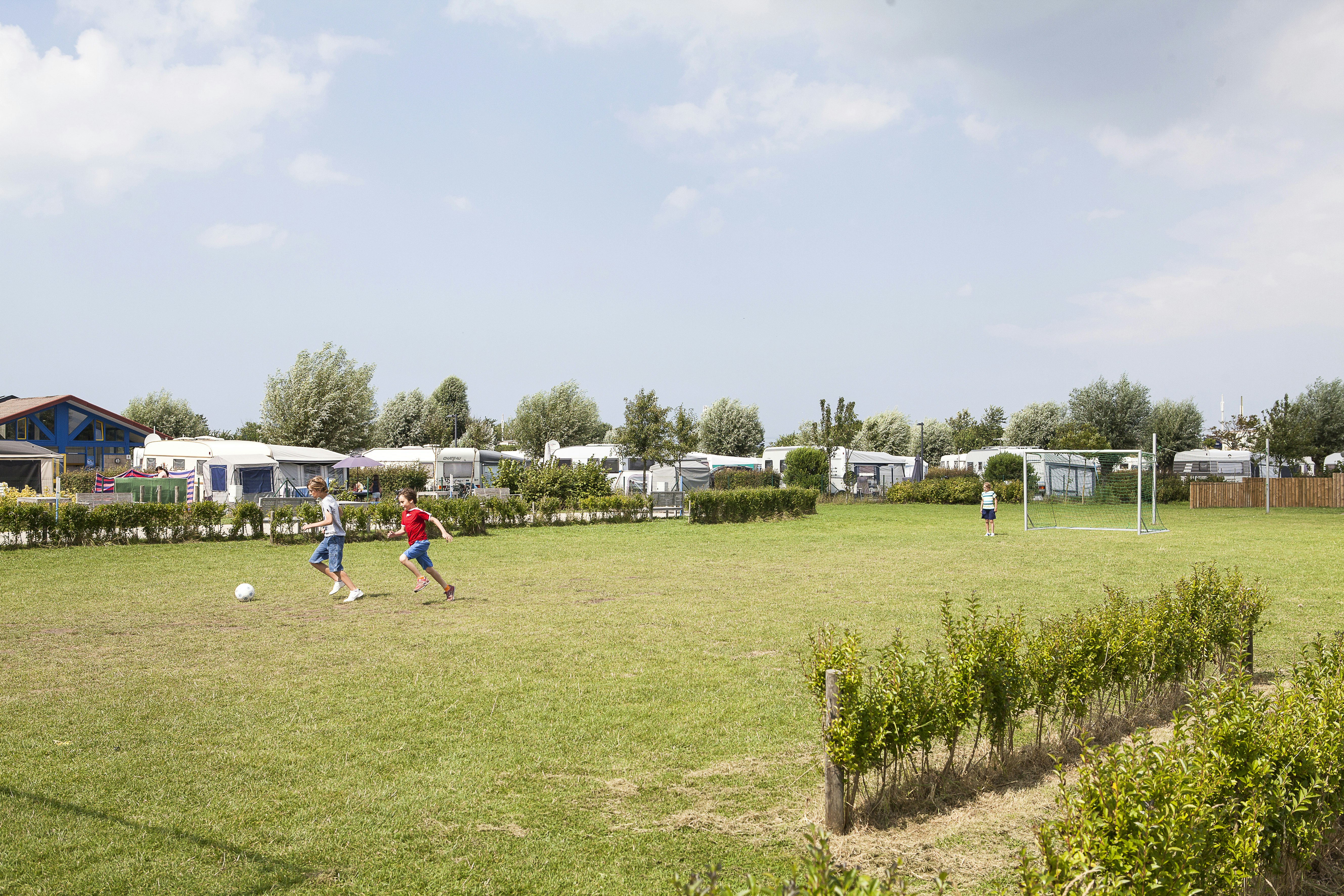 campingstühle faltbar UQUIP Campingstuhl Barry Strandstuhl Faltstuhl Klappstuhl Faltbar Stah