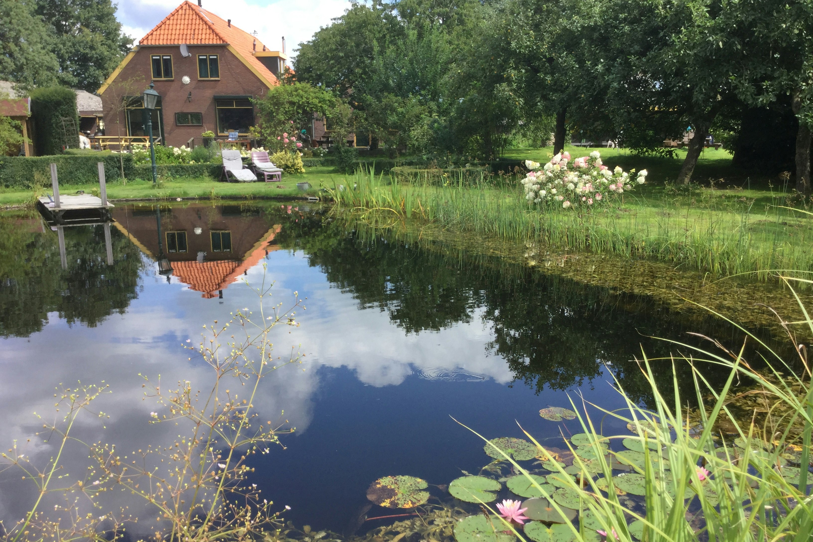 Landgoedcamping Boerderij de vrije geest