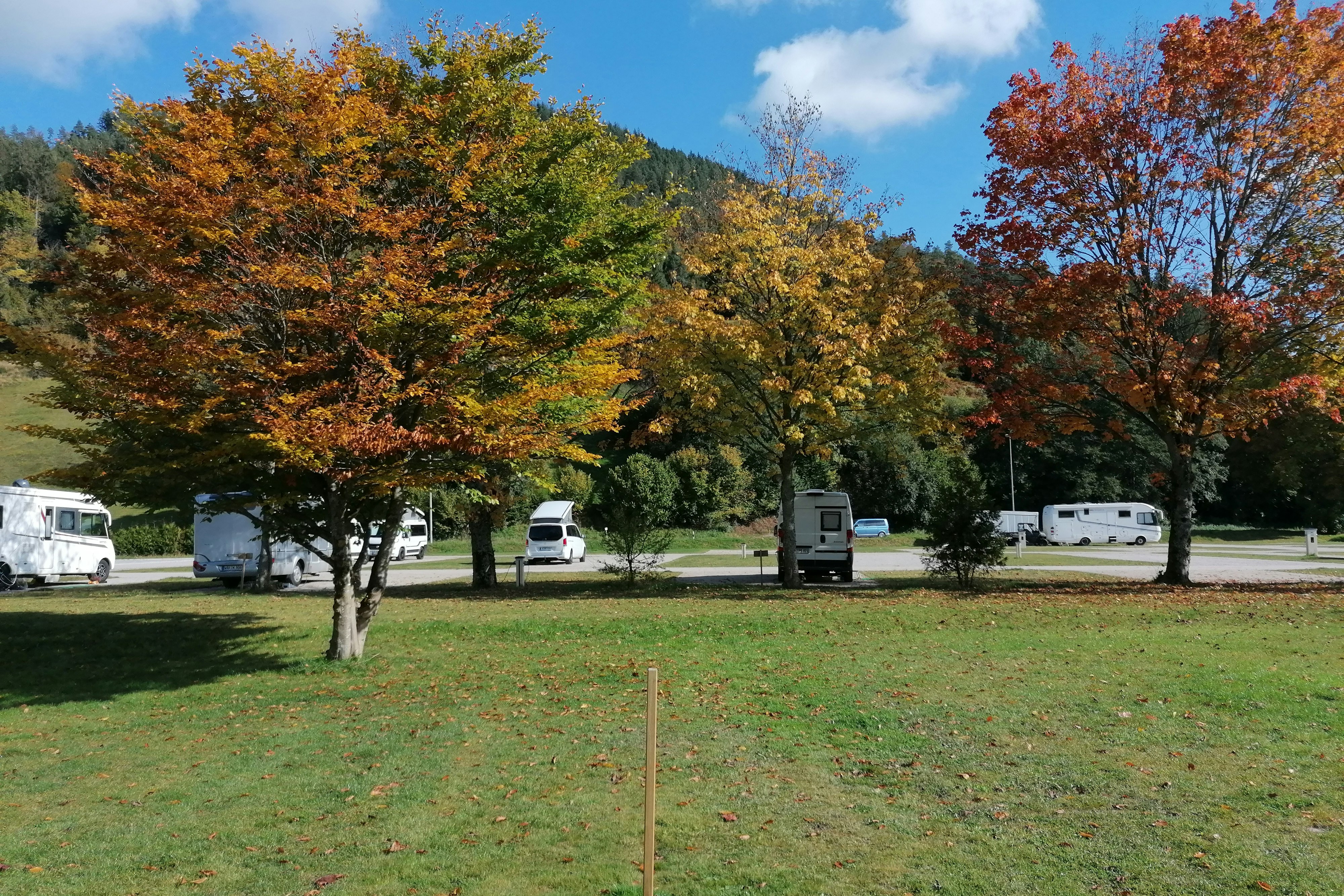 sonnensegel bus VANGO Caravan Sonnensegel Air Beam Wohnmobil Van Bus Markise Vordach K