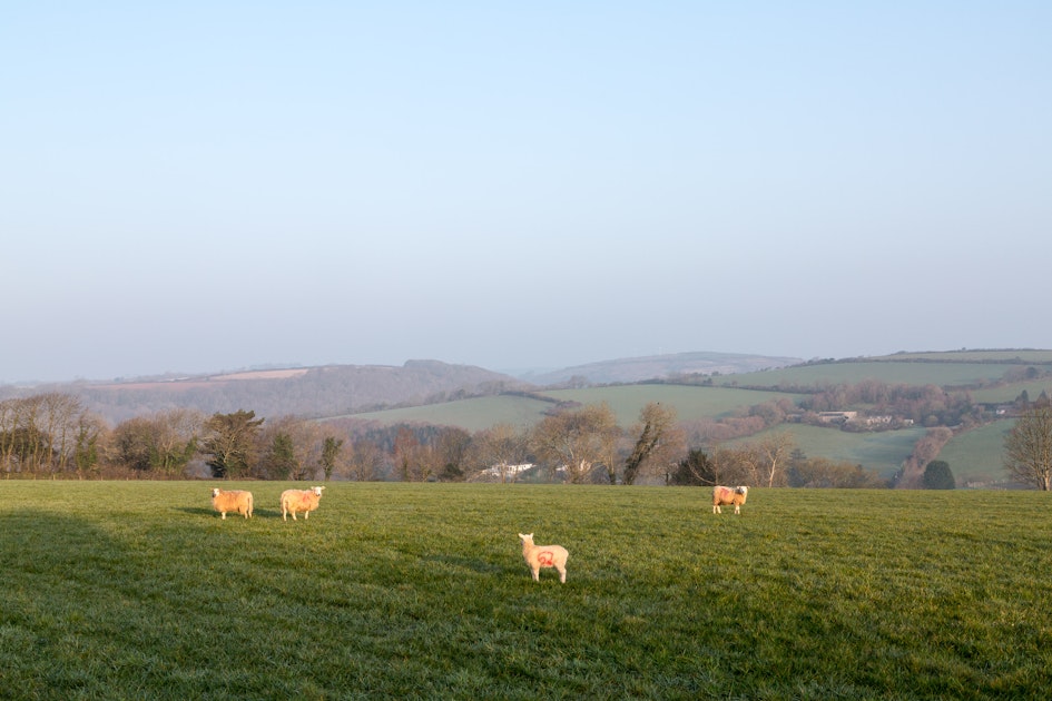 Penmarlam Caravan & Camping Park PiNCAMP