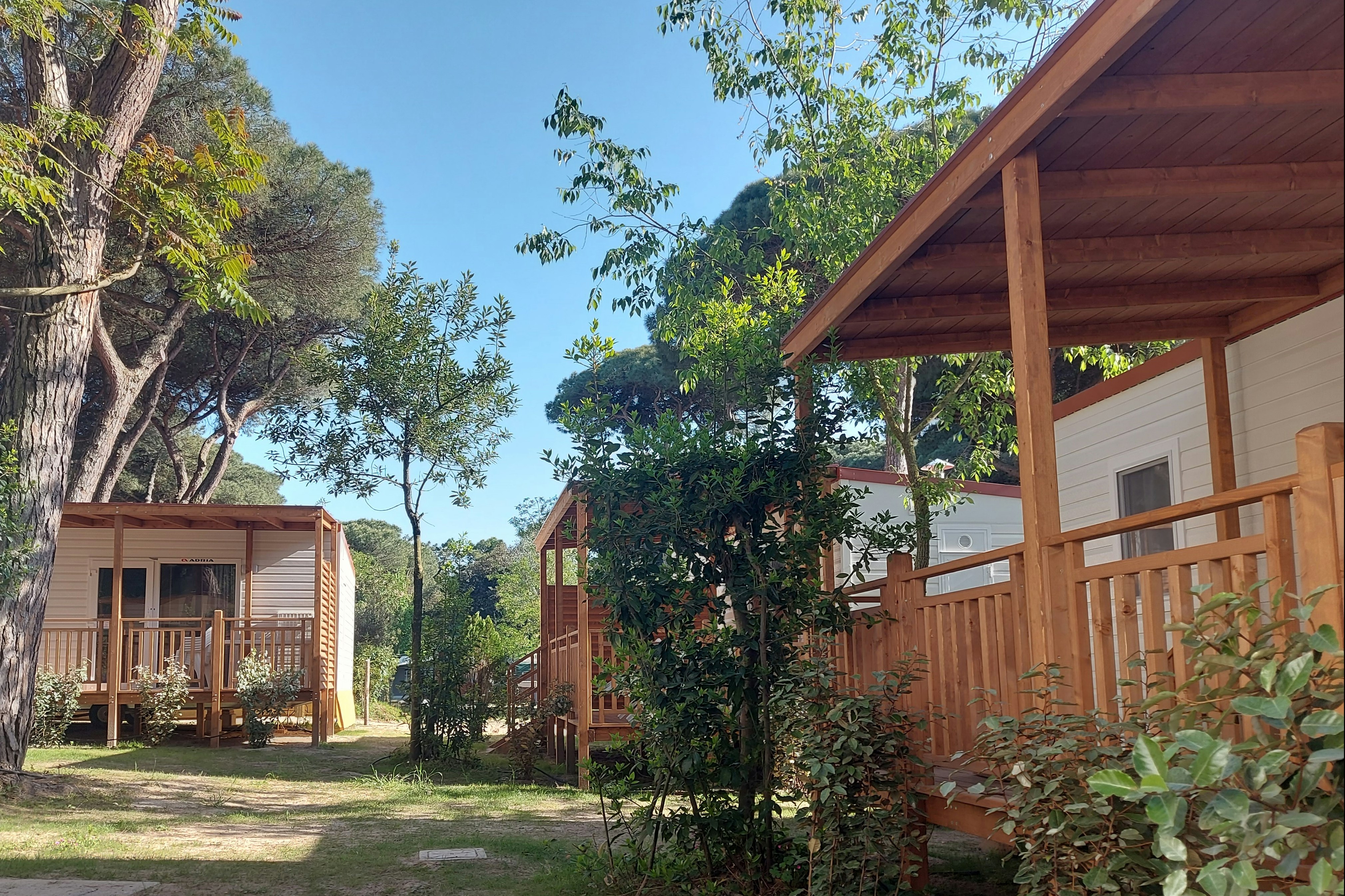Sind Hunde auf Piomboni Camping Village erlaubt?