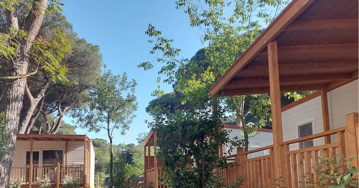 Sind Hunde auf Piomboni Camping Village erlaubt?