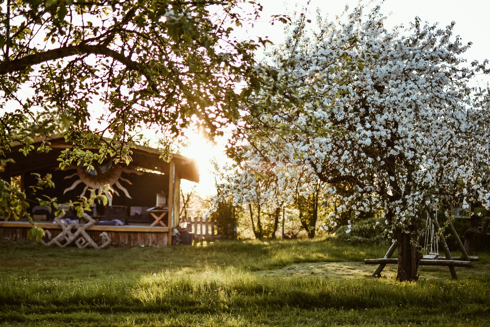 Sunny Nights Camping & Homestead
