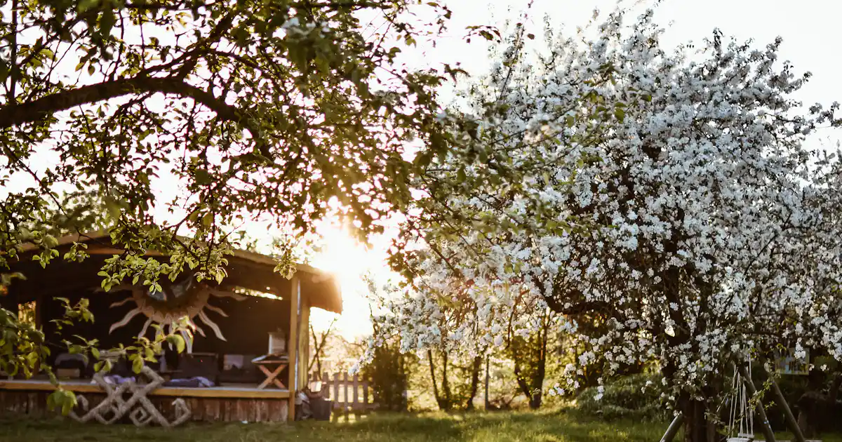 Sunny Nights Camping & Homestead